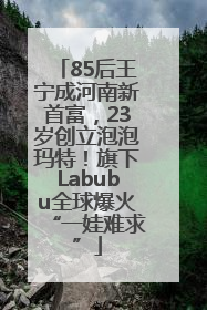 85后王宁成河南新首富，23岁创立泡泡玛特！旗下Labubu全球爆火“一娃难求”