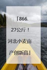 866.27公斤！河北小麦亩产创新高