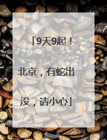 9天9起！北京，有蛇出没，请小心