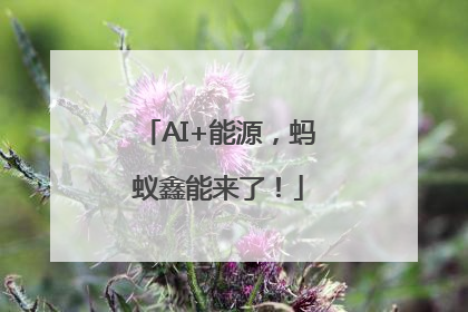 AI+能源，蚂蚁鑫能来了！