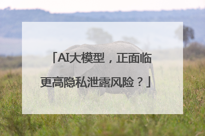AI大模型，正面临更高隐私泄露风险？