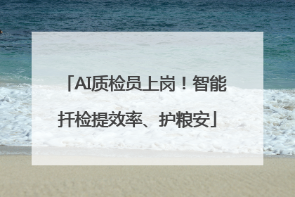 AI质检员上岗！智能扦检提效率、护粮安