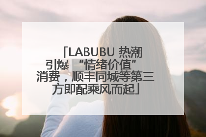 LABUBU 热潮引爆 “情绪价值” 消费，顺丰同城等第三方即配乘风而起